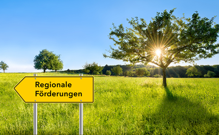 Regionale Förderungen und Gesetze